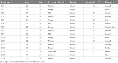 Experiences of male irregular migrants during their migration process and reception in Spain: lessons learned from the COVID-19 pandemic